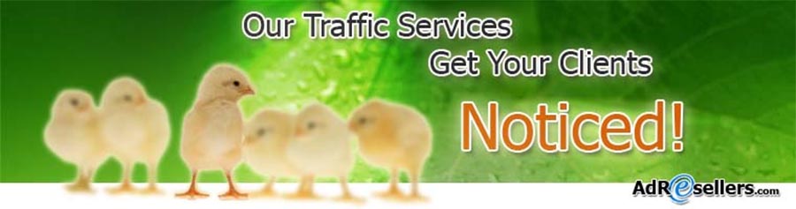 traffic reseller services